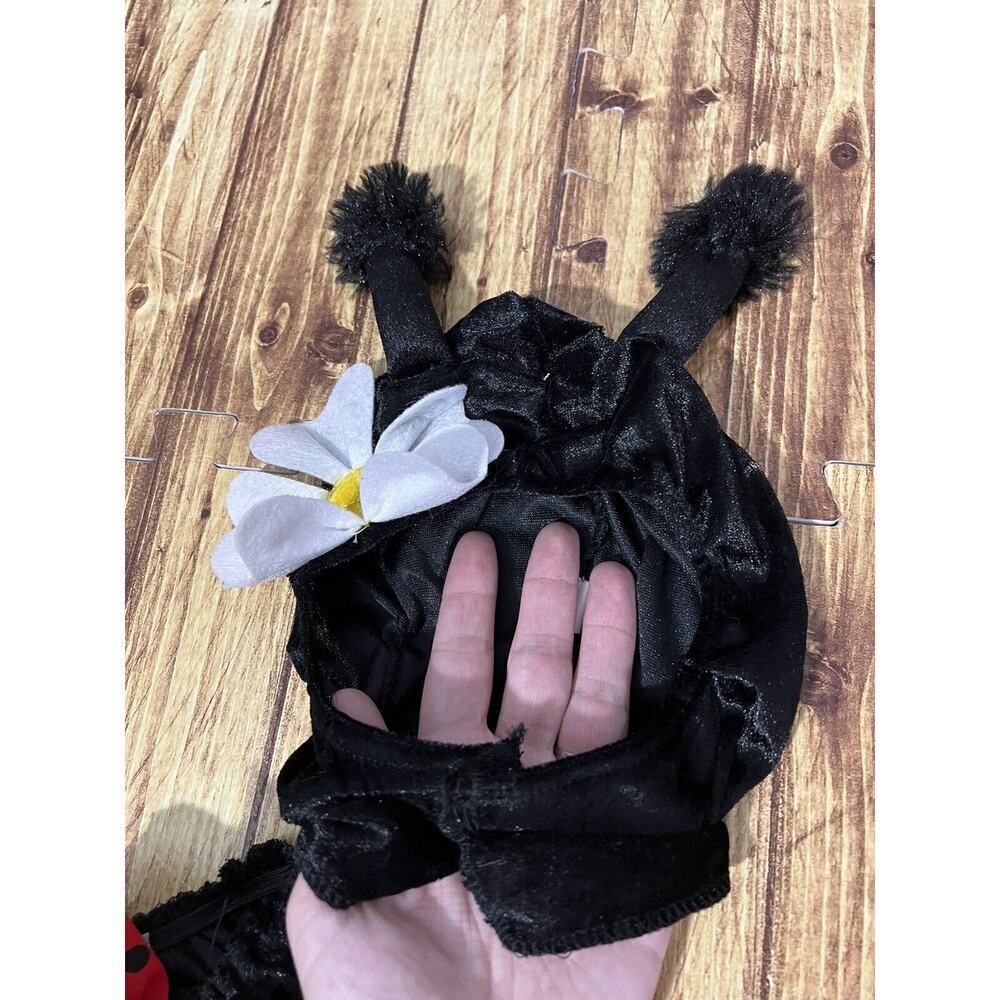 Fuzzys by Disguise Huggable Ladybug Costume 12-18 M - Picture 7 of 13